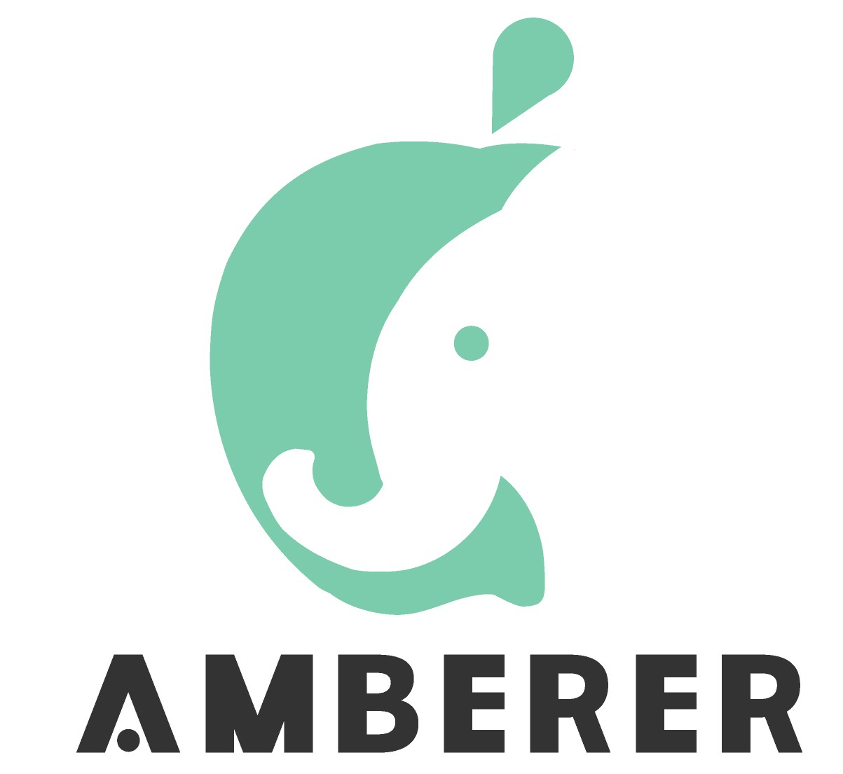 AMBERER new Logo